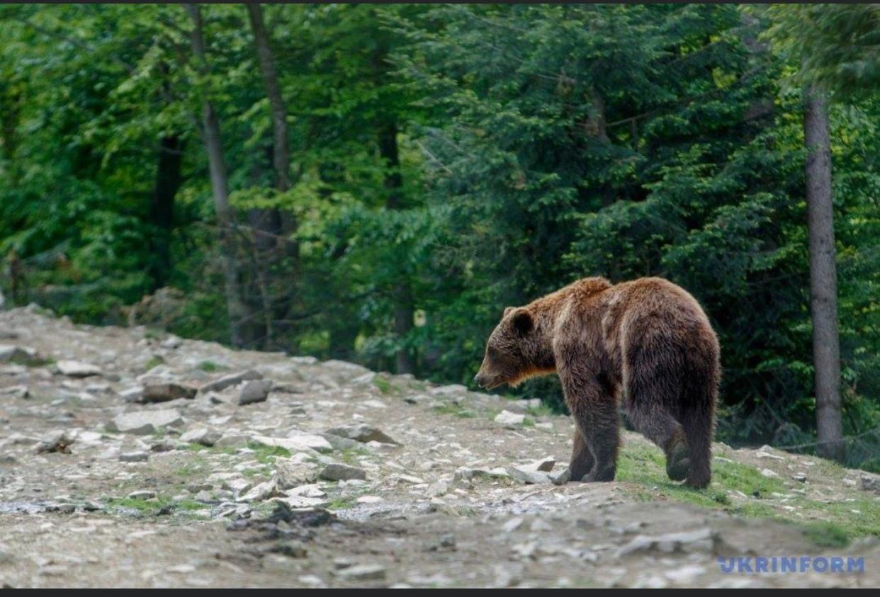Sadyba Domashniy Zatyshok Pilipets Εξωτερικό φωτογραφία